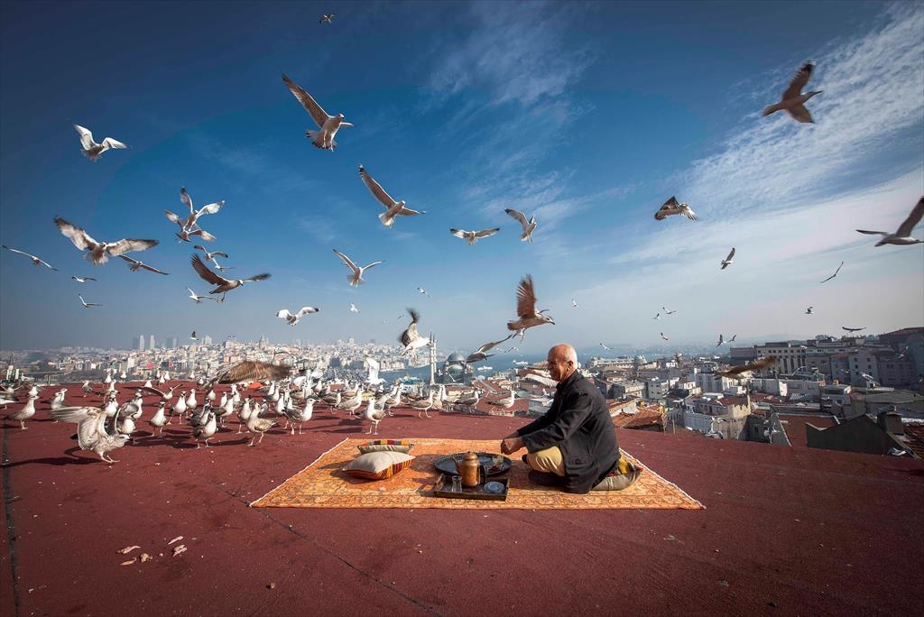 Fotoğrafın Gör Dediği; Fatih Belediyesi 2. Fotoğraf Yarışmamızın Sonuçları Açıklandı