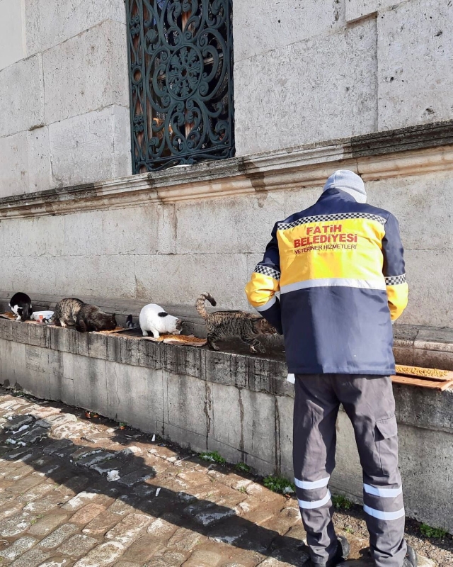 Sevimli Dostlarımız Emin Ellerde