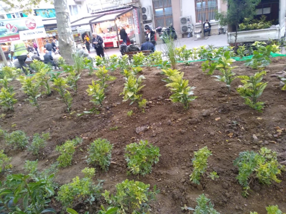 Kadınlar Pazarı'nda Tahrip Olan Yeşil Alanlar Peyzaj Çalışmaları ile Güzelleştirildi