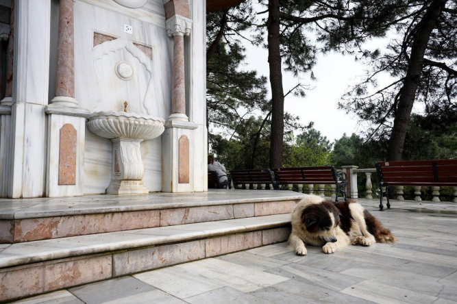 Fatihli Hanımlardan Türbe ve Camii Ziyareti