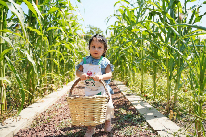 Yedikule&Ayvansaray Bahçe'de Gelenekselleşen Hasat Şenliği Kutlandı!
