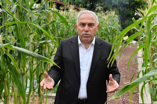 Yedikule&Ayvansaray Bahçe'de Mısır Hasadı Etkinliği Gerçekleşti