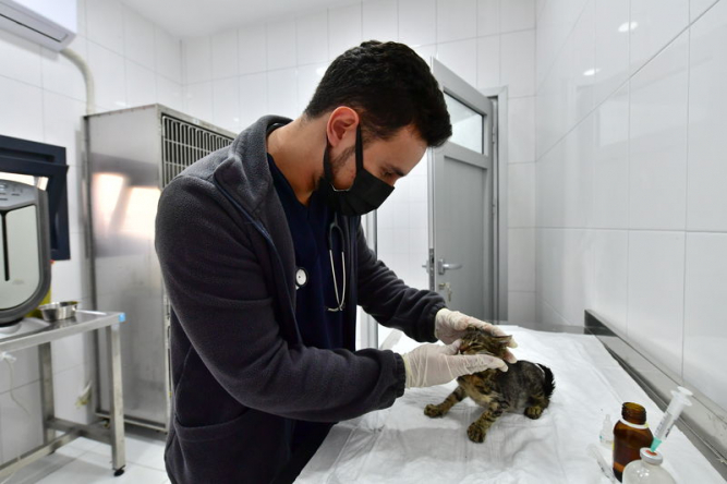 Sokak Hayvanları Tedavi Merkezi