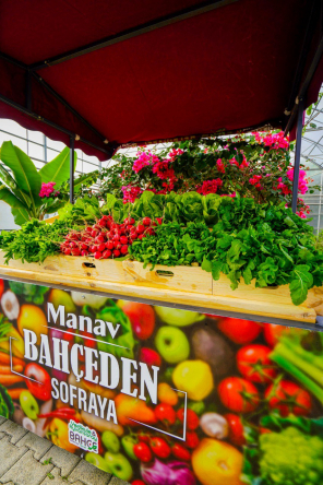 Yedikule&Ayvansaray Bahçe'nin Organik Ürünleri “Bahçe Manav”da Satışta!