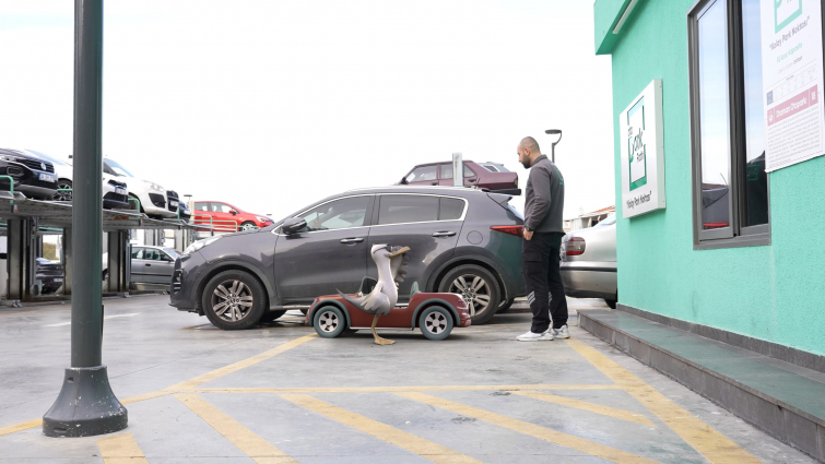 “Martı” Yeni Filmiyle Fatih'in Otoparklarını Geziyor!