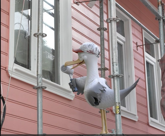 “Martı” Yeni Filminde Fatih'in Rengarenk Cephelerini Geziyor!