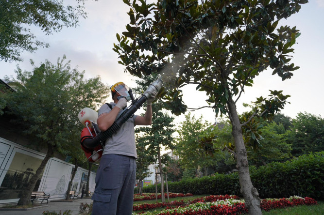 Sivrisinek İlaçlama Çalışmalarımız Devam Ediyor