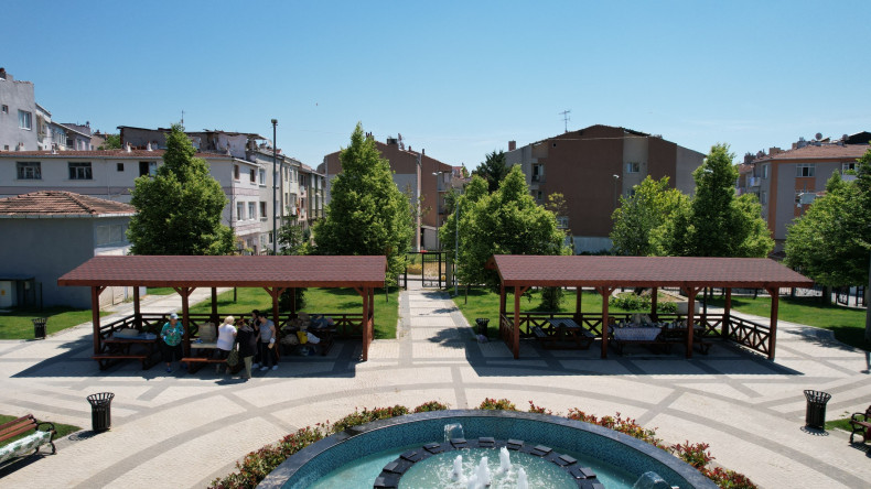 İlçemizdeki Parklara Yeni Kamelyalar Eklemeye Devam Ediyoruz