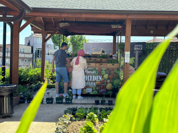 Organik Ürünlerimiz Yedikule&Ayvansaray Bahçe Manav'da!