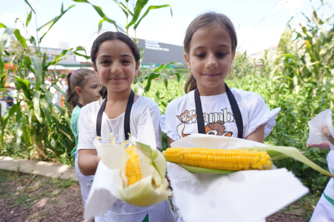 Yedikule Bahçe'de Geleneksel Mısır Hasadı: Çocuklarımızın Doğayla İç İçe Olduğu Keyifli Bir Gün