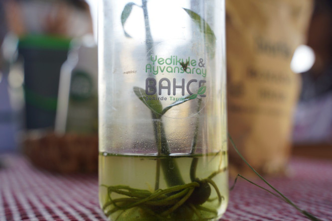 Yedikule Bahçe'de Kompost Atölyesi: Organik Atıklar Toprakla Buluşuyor