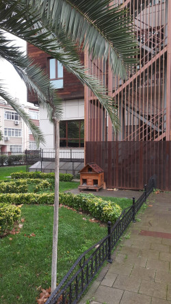 Fatih Belediyesi'nden Minik Dostlarımıza Sıcak Bir Yuva: Kedi Evi Projesi