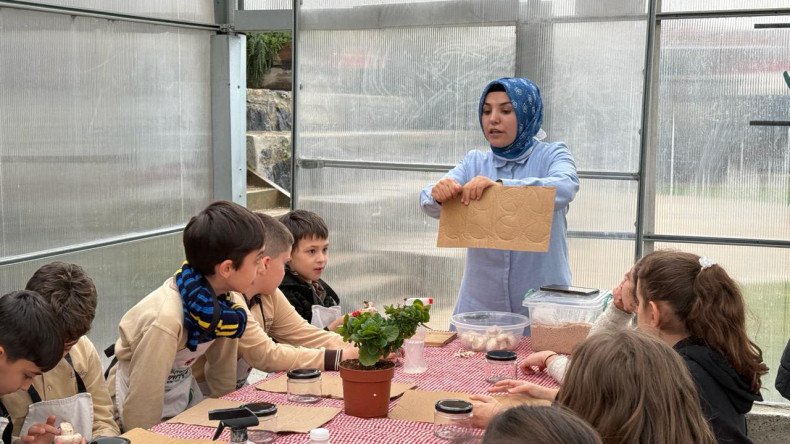 Doğayla Buluşma: Ayvansaray Bahçe'de Çocuklarımız İçin Mantar Yetiştirme Eğitimi