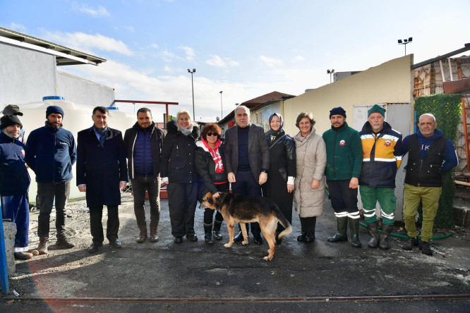 Yedikule Hayvan Barınağı'nda Yenileme Çalışmalarının İlk Aşaması Tamamlandı