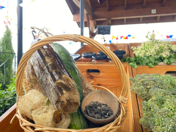 Vatandaşlarımız, Yedikule & Ayvansaray Bahçe'deki Atalık Tohum Eğitiminde Doğa ile Bir Araya Geliyor