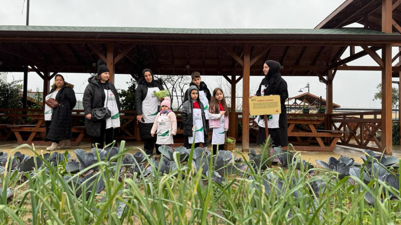Ayvansaray Bahçe'de Kış Bereketi: Çocuklarımızla “Ayvansaray Lahanası” Hasadı Devam Ediyor