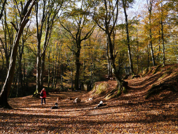 Dervişali'de Fotoğrafçılık Eğitimi: KARINCA El Emeği Eğitim Birimi'nden Işığa Dokunan Bir Buluşma