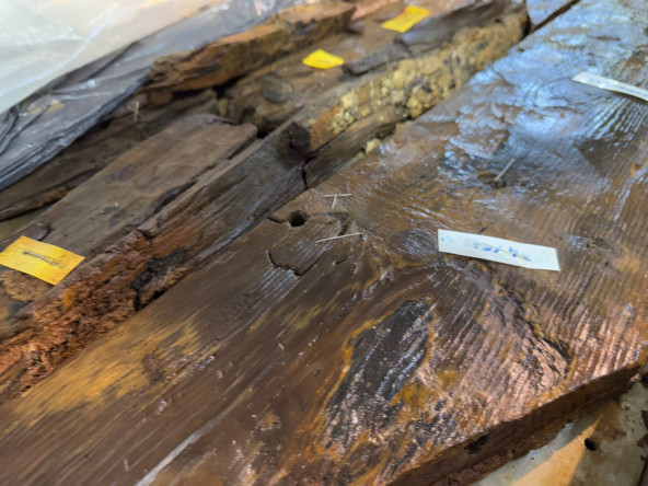 Öğrencilerimiz, Miras Fatih ile Fatih'in Denizcilik Mirasıyla Buluştu