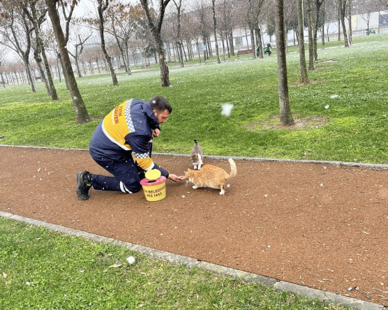 Fatih Belediyesi, Kış Aylarında Sokak Hayvanlarının Beslenme İhtiyacını Karşılamak İçin Açık Alanlarda Mama Desteğini Sürdürüyor