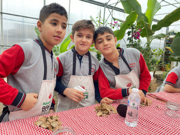 Ayvansaray Bahçe'de Çocuklarımızla Mantarın Dünyası: Topraktan Hasada Doğal Serüven