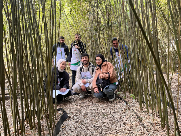 Yedikule & Ayvansaray Bahçe'den Yeşil Rota: Tıbbi Bitkilerin Dünyasında Doğanın İzinde Bir Keşif