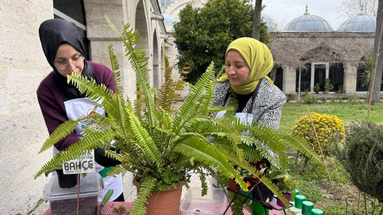 Fatih'in Doğasına Şifa: Bitki Hastanemiz Türkiye Yazma Eserler Kurumu Başkanlığında
