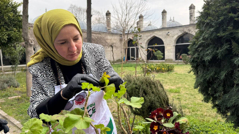 Fatih'in Doğasına Şifa: Bitki Hastanemiz Türkiye Yazma Eserler Kurumu Başkanlığında