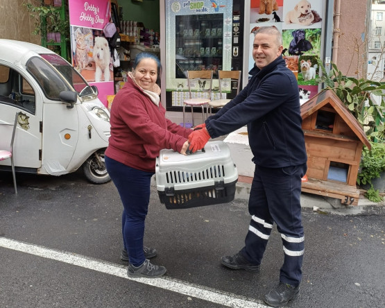 Fatih Belediyesi'nden Minik Dostlarımıza Toplu Kısırlaştırma Hizmeti