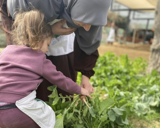 Ayvansaray Bahçe'de Baharın Bereketi: Çocuklarımızla Hasat Zamanı