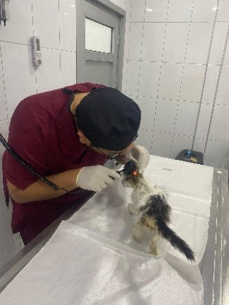 Veteriner İşleri Birimi