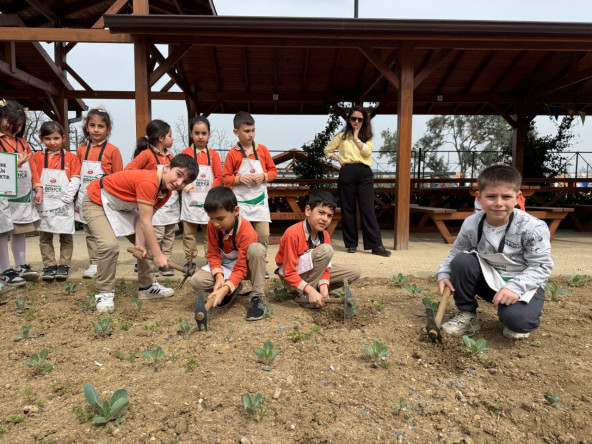 Ayvansaray Bahçe'de Bahar Bereketi: Çocuklarımızla “Ayvansaray Lahanası” Ekimi Başladı