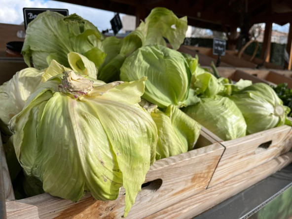 Yedikule Bahçe Manav'dan Sofralarınıza Doğallığın Taptaze Hali