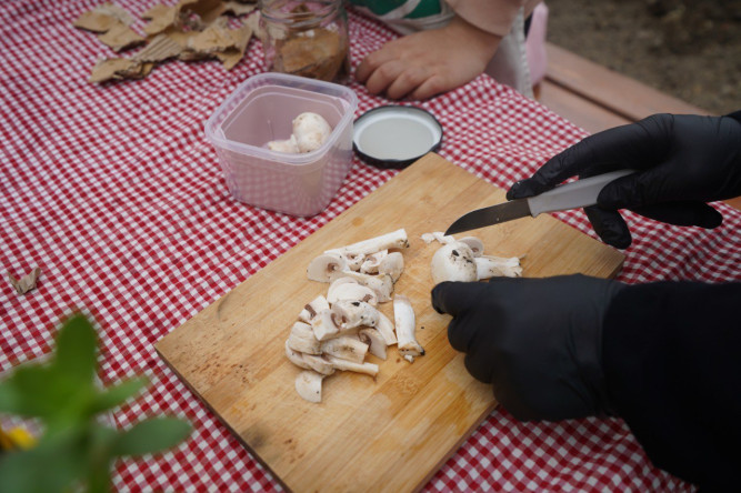 Ayvansaray Bahçe'de Çocuklarımızla Mantarın Dünyası: Topraktan Hasada Doğal Serüven