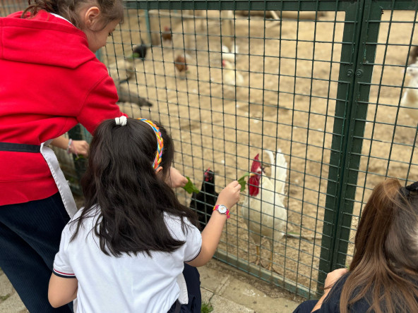 Çocuklarımız, Yedikule Bahçe'de Tarımı ve Doğayı Keşfetti