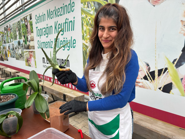 Yedikule Bahçe'de Temel Bitki Bakımı Programı: Bitki Sağlığı Konusunda Bilgi ve Çözüm Noktası