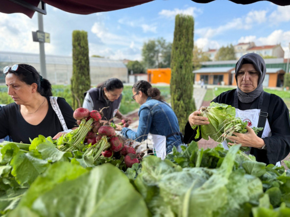Yedikule Bahçe Manav'dan Sofralarınıza Doğallığın Taptaze Hali