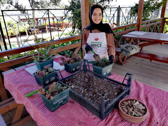 Ayvansaray Bahçe'de Doğayla Buluşma: Bir Avuç Toprak, Bir Tutam Sukulent