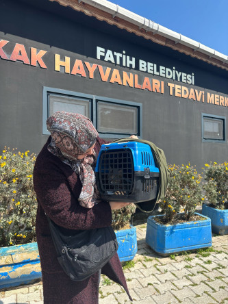 Fatih Belediyesi'nden Örnek Adım: Minik Dostlarımız İçin Online Kısırlaştırma Randevu Dönemi