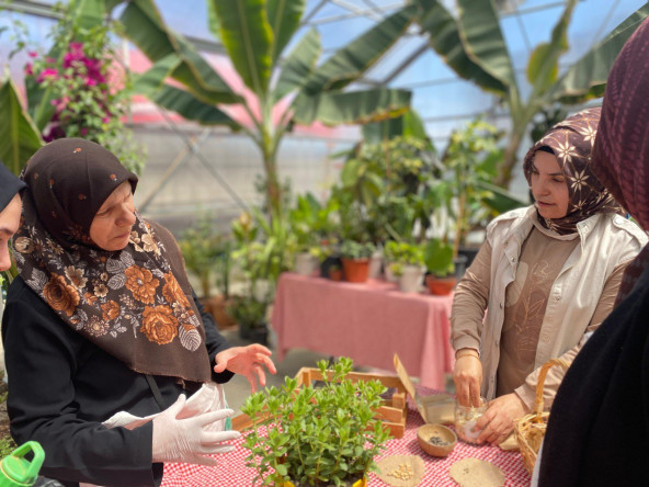Vatandaşlarımız, Yedikule & Ayvansaray Bahçe'deki Atalık Tohum Eğitiminde Doğa ile Bir Araya Geliyor