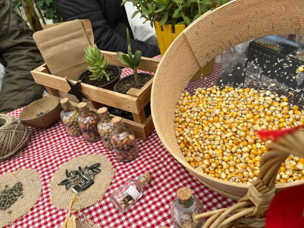 Vatandaşlarımız, Yedikule & Ayvansaray Bahçe'deki Atalık Tohum Eğitiminde Doğa ile Bir Araya Geliyor