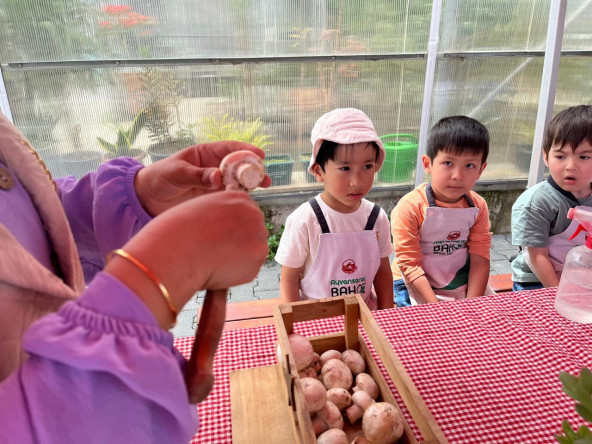 Ayvansaray Bahçe'de Çocuklarımızla Mantarın Dünyası: Topraktan Hasada Doğal Serüven
