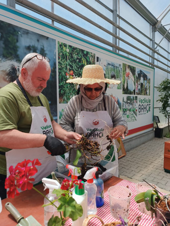 Yedikule Bahçe'de Temel Bitki Bakımı Programı: Bitki Sağlığı Konusunda Bilgi ve Çözüm Noktası