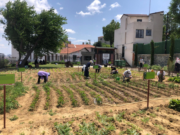 Vatandaşlarımız Ayvansaray Bahçe'deki Bahçıvanlık Atölyesi ile Doğayı Daha Yakından Tanıyor