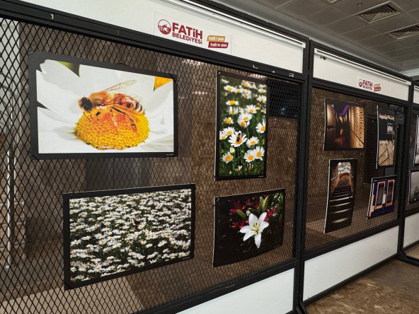 KARINCA El Emeği Eğitim Birimi'nin Dervişali'deki “Dijital Fotoğrafçılık” Kursunu Tamamlayan Kursiyerlerinden FKSM'de “Sokağın Ruhu” Sergisi