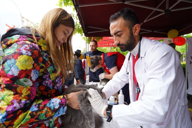 Samatya Meydanı'nda Duyarlılık Buluşması: Minik Dostlarımıza Ücretsiz Sağlık Hizmeti