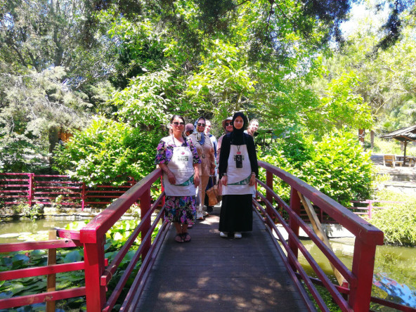 Yedikule & Ayvansaray Bahçe'den Yeşil Rota: Tıbbi Bitkilerin Dünyasında Doğanın İzinde Bir Keşif