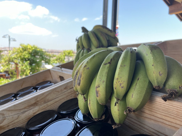 Ayvansaray Bahçe Manav'dan Sofralarınıza Doğallığın Taptaze Hali