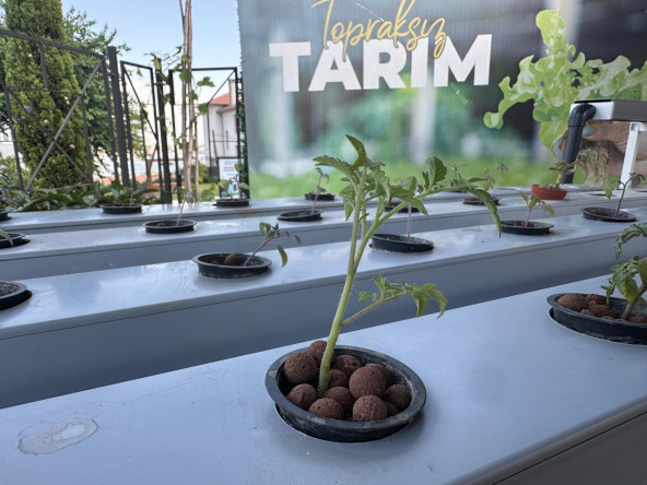 Topraksız Tarımın Şehirdeki Adresi: Yedikule & Ayvansaray Bahçe'de Yenilikçi Eğitimler Devam Ediyor