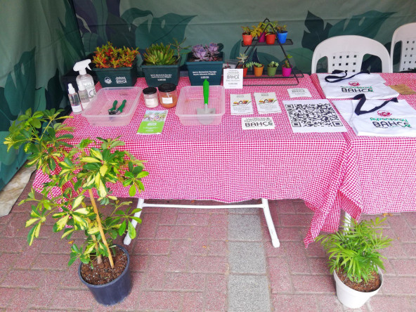 Bitki Hastanesi, Fındıkzade Çukurbostan Yaşam Merkezi'nde: Fatih'in Yeşiline Şifa Oluyor
