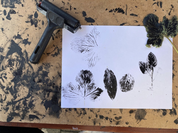 Ayvansaray Bahçe'de Çocuklarımızla Botanik Baskı Yapıyor, Doğanın İzlerini Kağıda Taşıyoruz